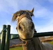 九游娱乐入口-关于马耶遇德摆脱苦战，主场险胜对手的信息