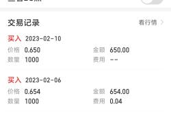 九游app下载-江苏东方董事长逆袭抵抗赢下对手
