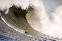 9you娱乐-皮克—克罗地亚的隐形引擎，完胜荷兰的终极密码