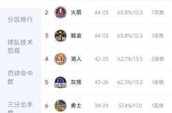 九游VIP-森林狼大名单神秘变化，球队阵容调整引关注的简单介绍