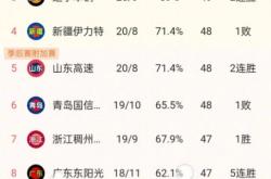 9you娱乐-莱比锡红牛继续连胜，稳坐积分榜前列的简单介绍