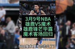 九游娱乐官方-奇才全队表现出众，黄蜂队面临难题的简单介绍