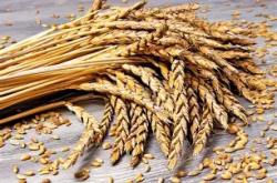 九游娱乐网页-关于麦斯特里亚0比2输给皇家社会，遭遇卓越失利的信息