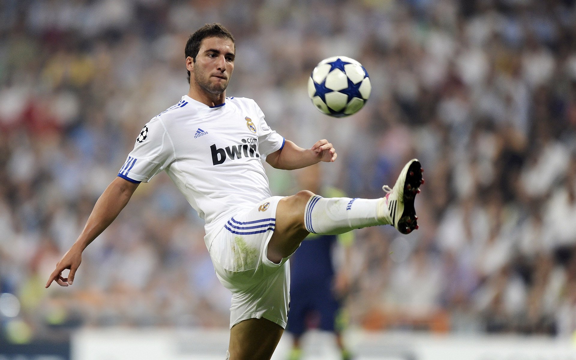 征服与被征服者,当胜利的焰火照亮两种灵魂的真相