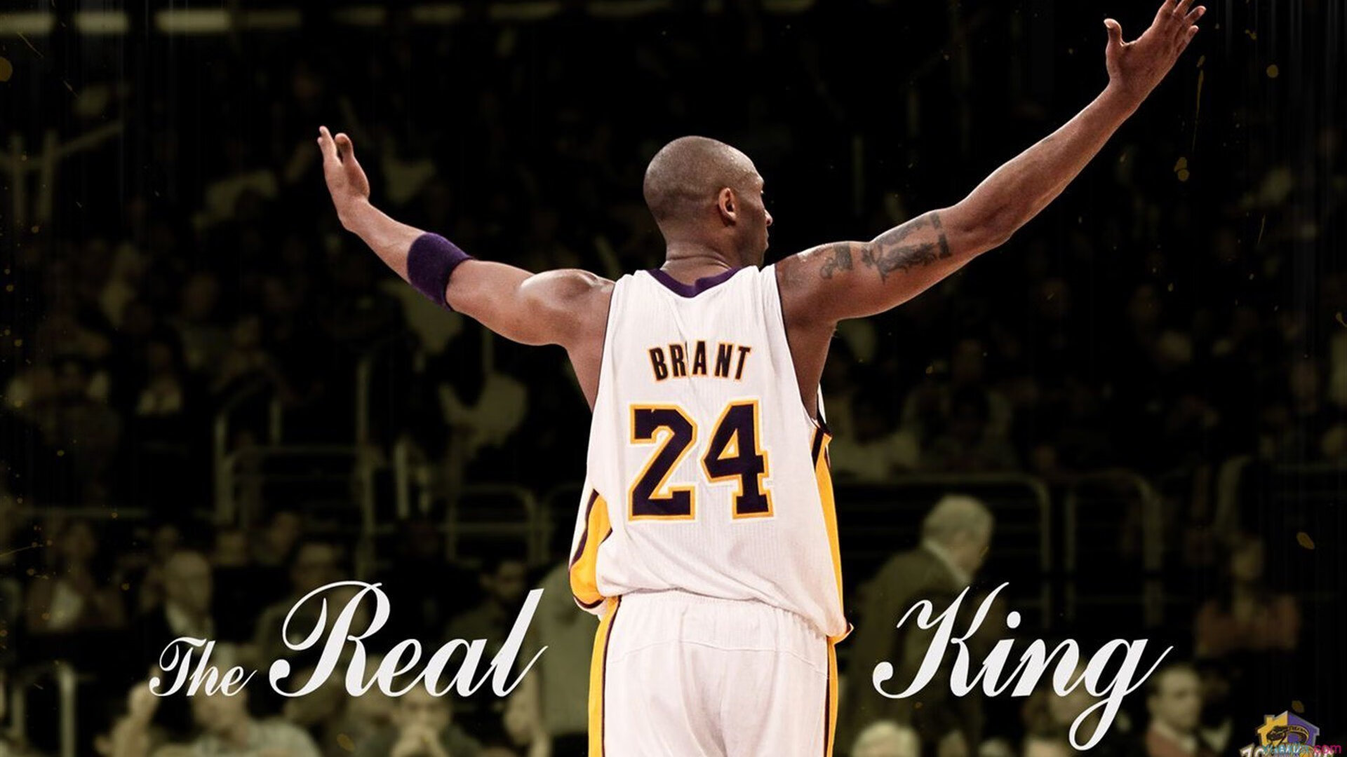 逆袭与不朽,迈凯伦的绝地反击与阿隆索跨越时代的引擎轰鸣